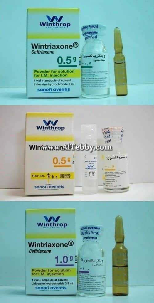 وينترياكسون Wintriaxone دواء drug