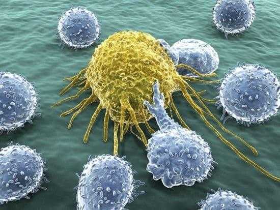 الدفاع المناعي والسرطان Cancer and Immune System