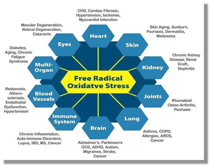 ุงูุงุฌูุงุฏ ุงูุชุฃูุณุฏู Oxidative stress Biology Diagrams