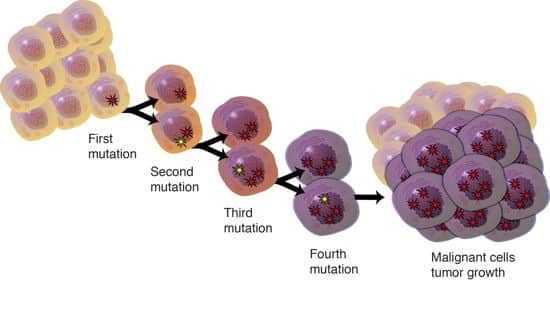 المورثات المحبطة للنمو Tumor Supressor Gene