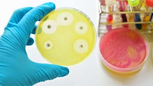 الامم المتحدة تجتمع لمناقشة الميكروبات المقاومة للمضادات الحيوية