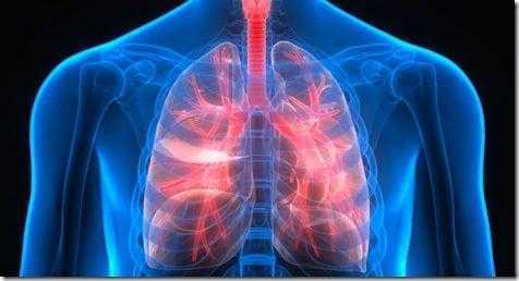 Lungs-Shutterstock-800x430