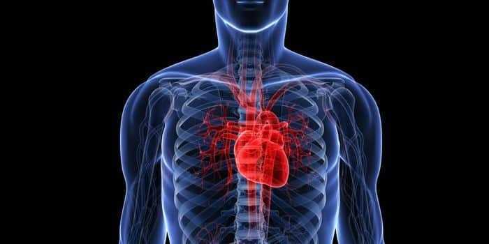 دراسة عقار أزيثروميسين لا يعطل الإيقاع الطبيعى لعمل القلب