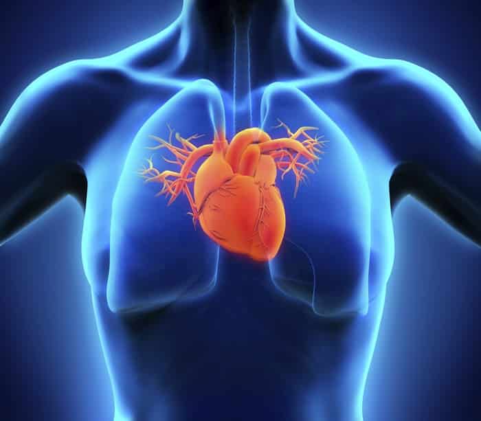 مضخة ميكانيكية قد تساعد في الشفاء من مرض قصور القلب