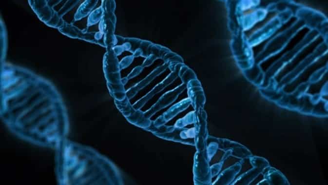 دراسة استخدام الحمض النووي لتشخيص السرطان في مراحله الأولى