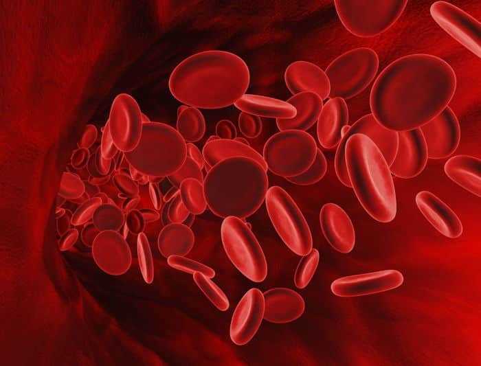 عدد خلايا كرات الدم الحمراء