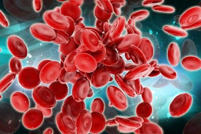 تخليق خلايا الدم لأول مرة باستخدام الخلايا الجذعية