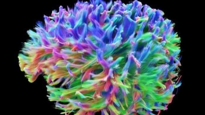 العلماء يتمكنون من تطوير تقنية دقيقة للغاية لتصوير الدماغ
