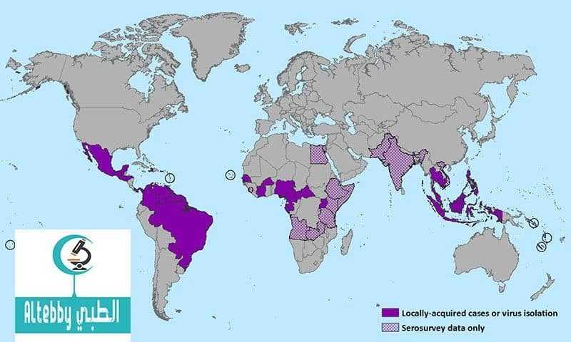 منظمة الصحة العالمية تحزر من انتشار فيروس يحتمل انه يتلف أدمغة الأجنة أدوية منظمة الصحة العالمية تحزر من انتشار فيروس يحتمل انه يتلف أدمغة الأجنة أدوية