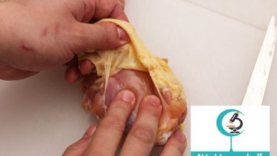 تناول جلد الدجاج مضر