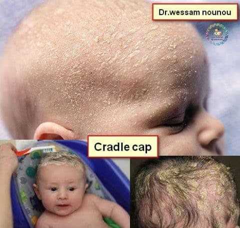 1001021_1684200911841074_8608740968729192729_n 1001021_1684200911841074_8608740968729192729_n