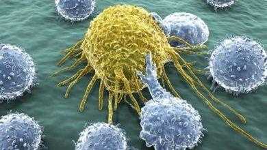 الدفاع المناعي والسرطان Cancer and Immune System