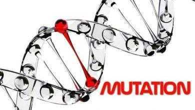 الطفرات الوراثية Genetic Mutations