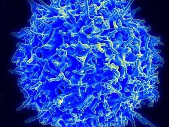 الأونكوجين مورث التسرطن Oncogene