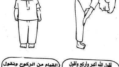 حمل كتاب تعليم الاطفال الوضوء والصلاة بطريقة مبسطه
