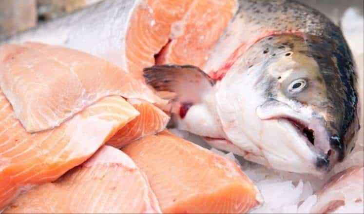 مكملات أوميغا 3 تعالج مشاكل الانتباه وصعوبات التعلم لدى الاطفال