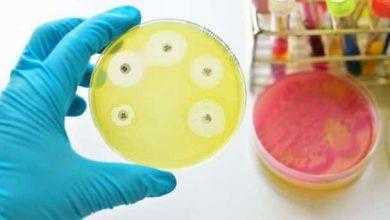 الامم المتحدة تجتمع لمناقشة الميكروبات المقاومة للمضادات الحيوية