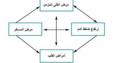 لمن يوصى بفحص الكلى سنويا؟