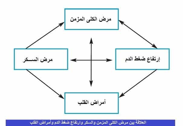لمن يوصى بفحص الكلى سنويا؟ لمن يوصى بفحص الكلى سنويا؟