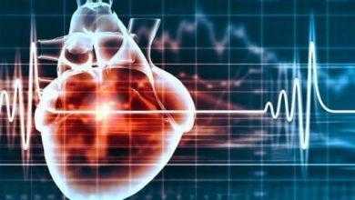 دراسة: قلب الجنين يدق للمرة الأولى بعد 16 يوما من حدوث الحمل
