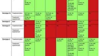 "الأوروبية للكبد" تطلق 6 تحديثات لبروتوكولات علاج فيروس "سي"