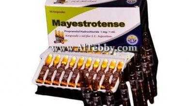 مايستروتنس Mayestrotense