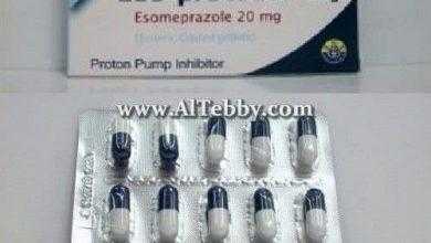 إيزو-بروتوكول Eso-protocol