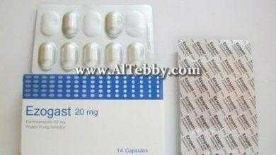 إيزوجاست Ezogast