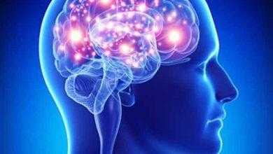 كشف جديد يقلب الموازين عن كيفية تكون الذاكرة