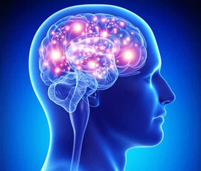 كشف جديد يقلب الموازين عن كيفية تكون الذاكرة كشف جديد يقلب الموازين عن كيفية تكون الذاكرة