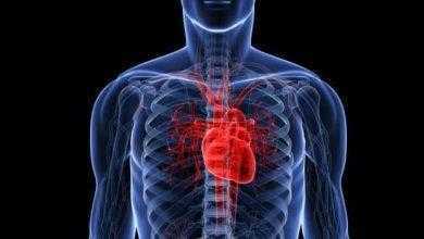 دراسة: عقار أزيثروميسين لا يعطل الإيقاع الطبيعى لعمل القلب