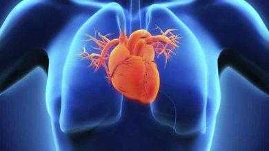 دراسة: مضخة ميكانيكية قد تساعد في الشفاء من مرض قصور القلب