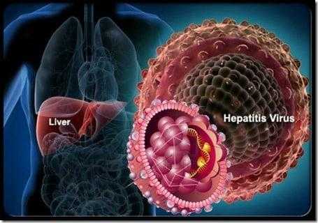 hepatitis-virus hepatitis-virus