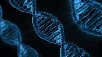 دراسة: استخدام الحمض النووي لتشخيص السرطان في مراحله الأولى