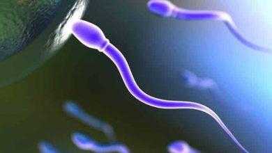 تحليل السائل المنوي - Semen Analysis
