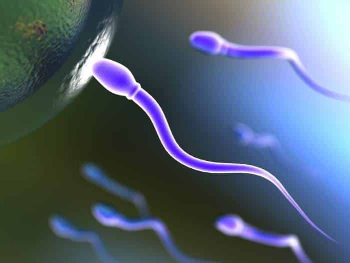 تحليل السائل المنوي Semen Analysis الطبي دليل الدواء وعلاج المرض