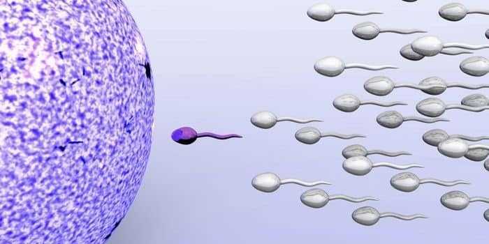 حركة الحيوانات المنوية - Sperm motility حركة الحيوانات المنوية - Sperm motility