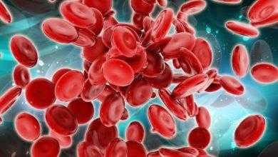 تخليق خلايا الدم لأول مرة باستخدام الخلايا الجذعية