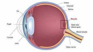شبكية صناعية جديدة تعطي الأمل للمصابين باعتلال البصر