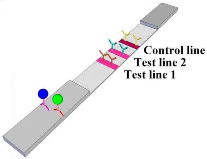 على غرار تحليل السكري .. اختبار جديد يمكنك من معرفة حالة قلبك وأنت في منزلك على غرار تحليل السكري .. اختبار جديد يمكنك من معرفة حالة قلبك وأنت في منزلك