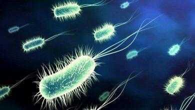 اكتشاف مضاد حيوي جديد يقضي على البكتريا المقاومة للأدوية