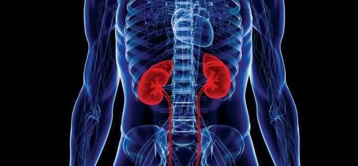 تحليل وظائف الكلى - Kidney Function Tests