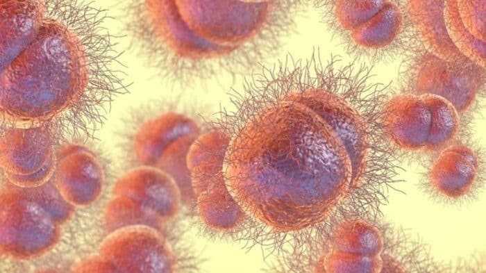 منظمة الصحة العالمية تحذر من مرض السيلان منظمة الصحة العالمية تحذر من مرض السيلان