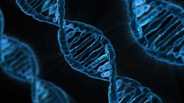 العلماء ينجحون في استخدام تقنية تعديل الجينات للقضاء على مرض وراثي خطير