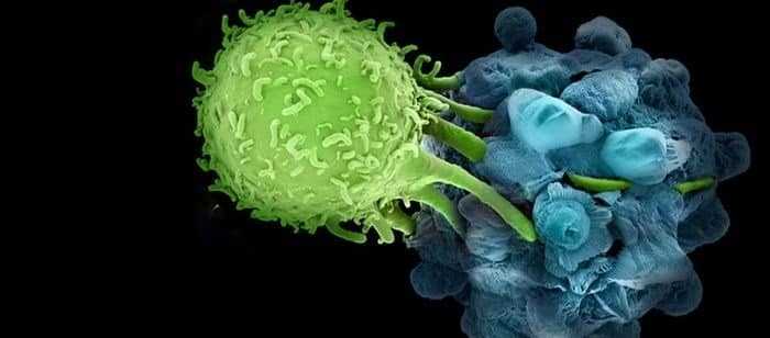 تحديد الجينات اللازمة لعمل العلاج المناعي للأورام تحديد الجينات اللازمة لعمل العلاج المناعي للأورام