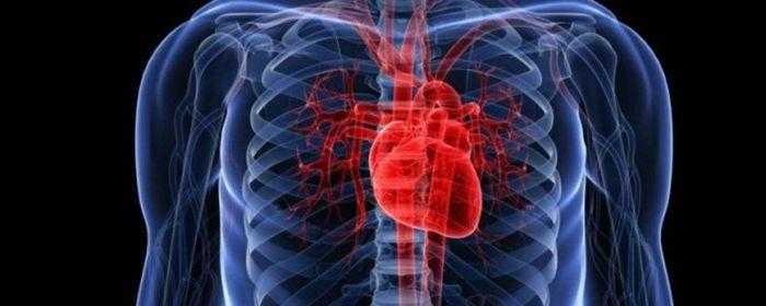 تطوير تقنية جديدة لعلاج تلف الأعضاء الداخلية عن طريق رقعة بحجم طابع البريد تطوير تقنية جديدة لعلاج تلف الأعضاء الداخلية عن طريق رقعة بحجم طابع البريد