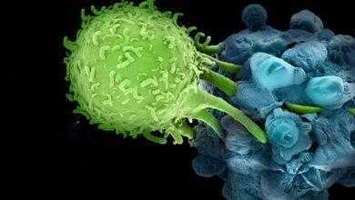 تطوير تقنية جديدة لتصوير الخلايا السرطانية بدقة تصل 5 أضعاف وسائل التصوير الحالية