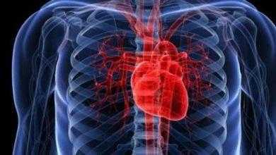 تطوير تقنية جديدة لعلاج تلف الأعضاء الداخلية عن طريق رقعة بحجم طابع البريد