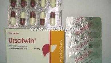 أورسوتوين Ursotwin