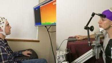 لأول مرة في العالم .. تمكن باحثو جامعة ويتس من ربط الدماغ البشري بالإنترنت